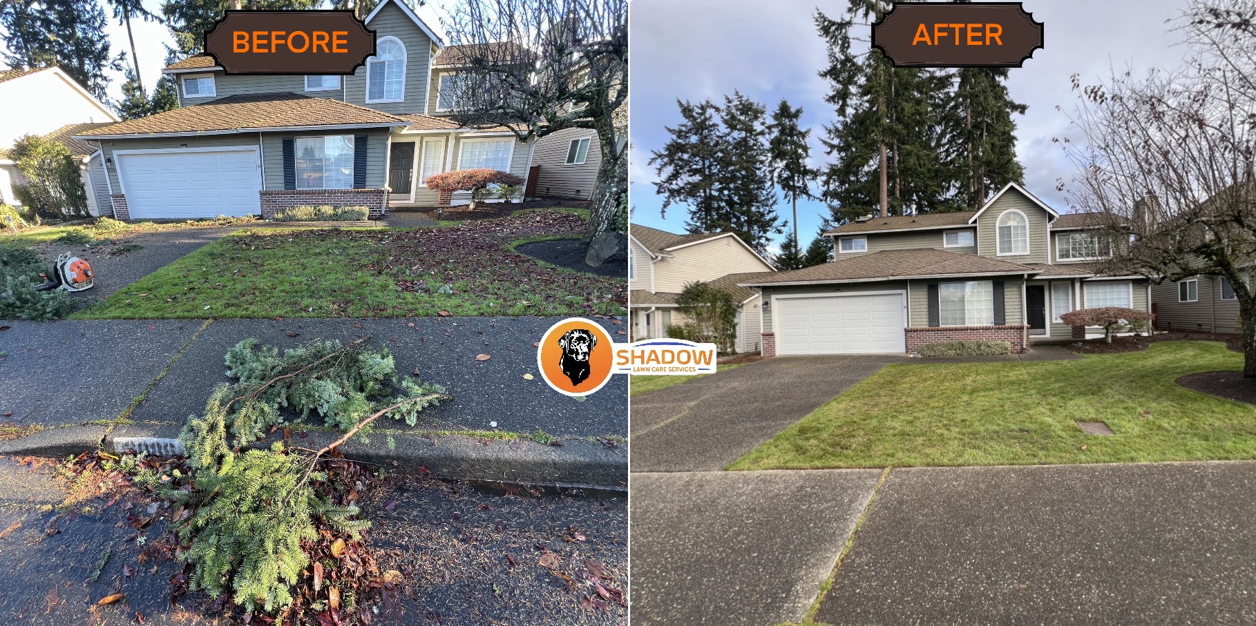 Before and after yard cleanup by Shadow Lawn Care in Woodinville, WA