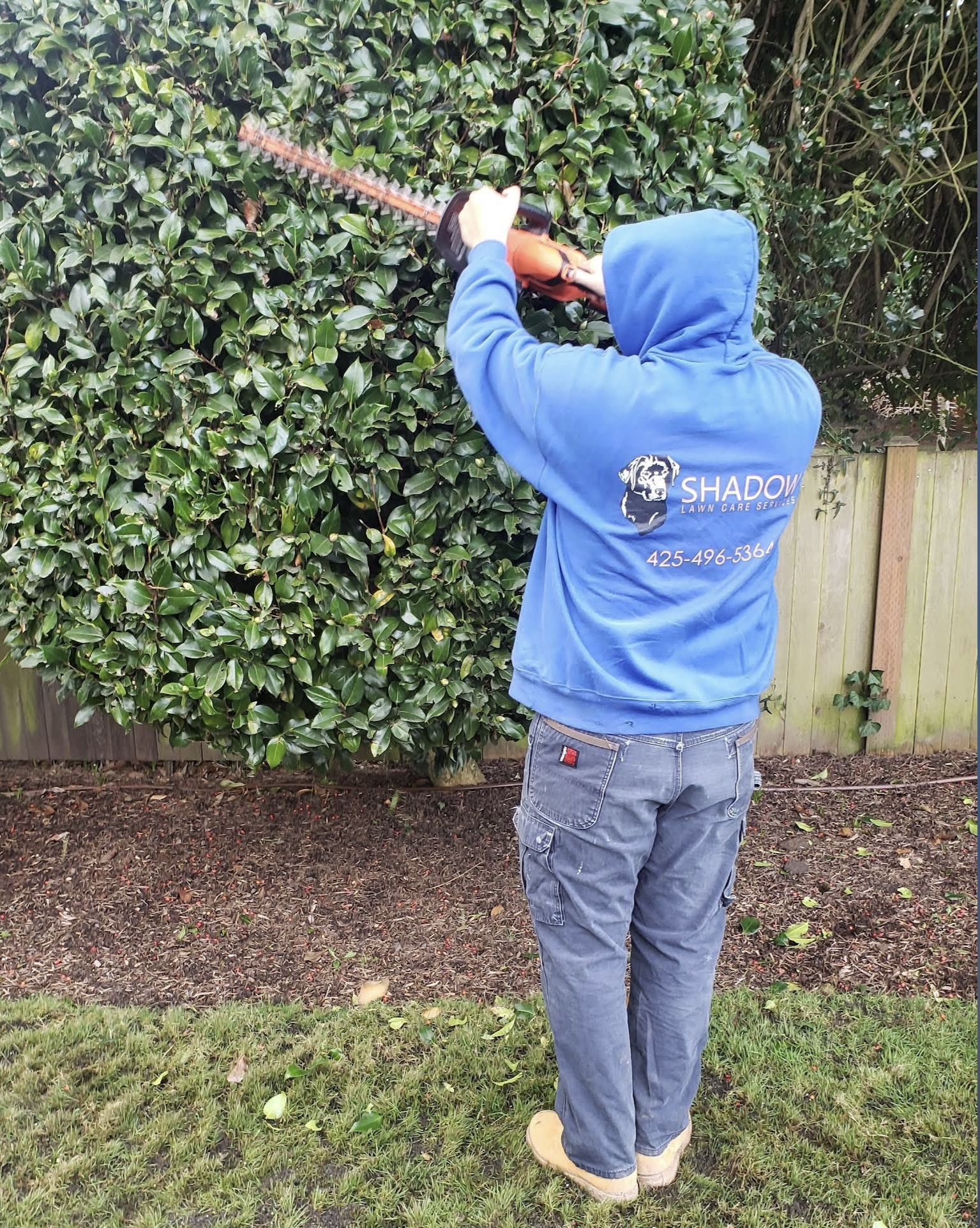 Shadow Lawn Care crew trimming hedges and shrubs in Woodinville, WA