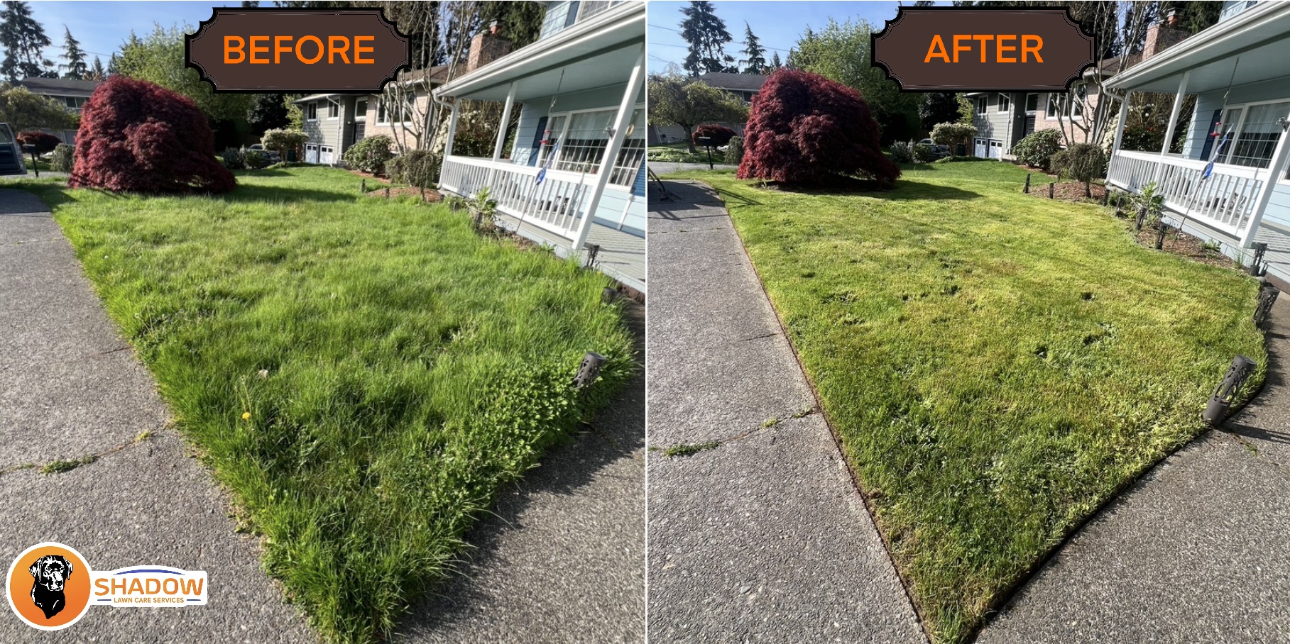 Crisp lawn edging and trimming by Shadow Lawn Care in Woodinville, WA